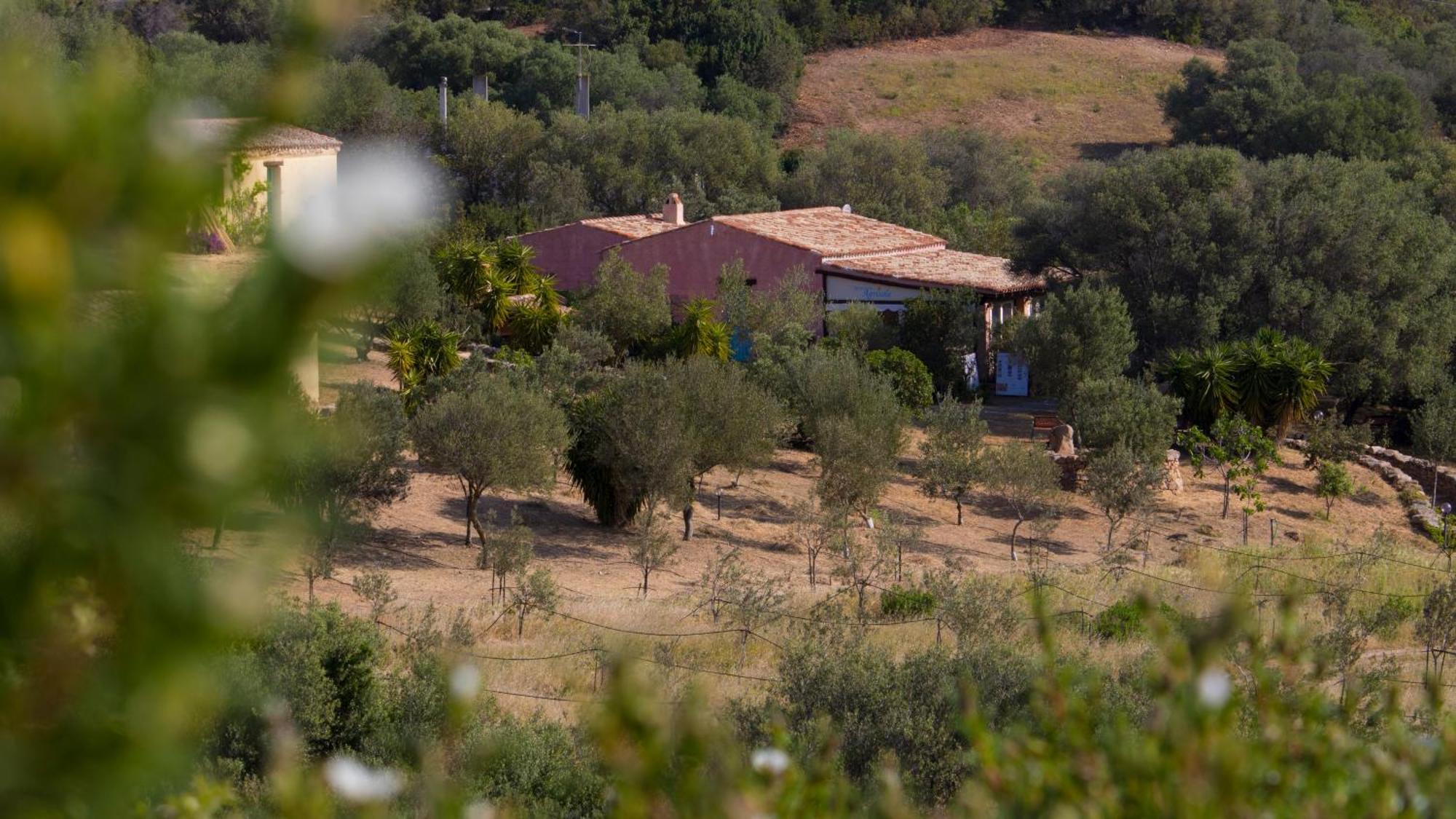 Agriturismo Agrisole Olbia Exterior foto