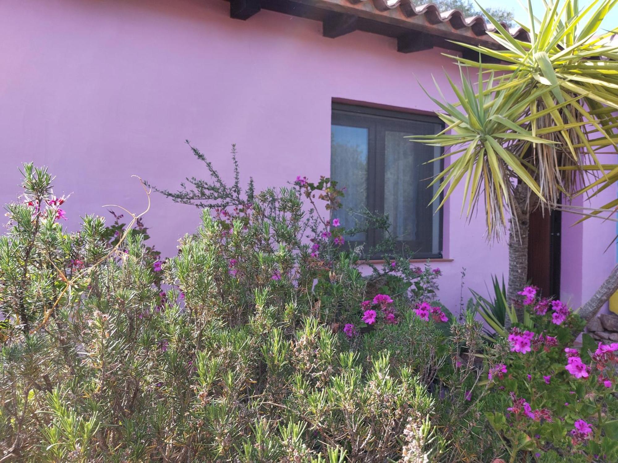 Agriturismo Agrisole Olbia Exterior foto