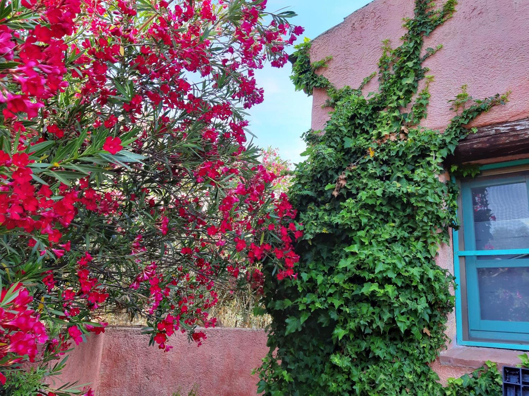 Agriturismo Agrisole Olbia Exterior foto